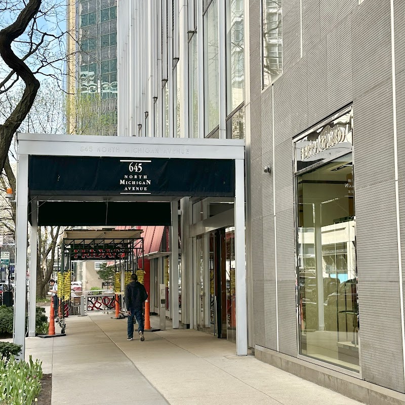 Chicago Aesthetics Club photo 3