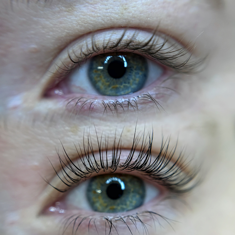 Shape'D Lash and Brow Chicago photo 1